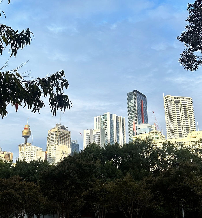 Sydney Skyline