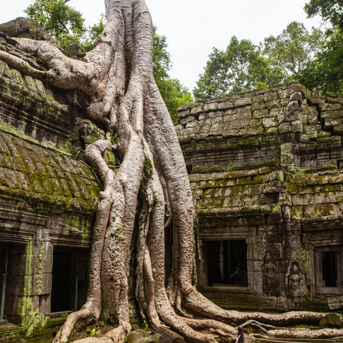 cambodia