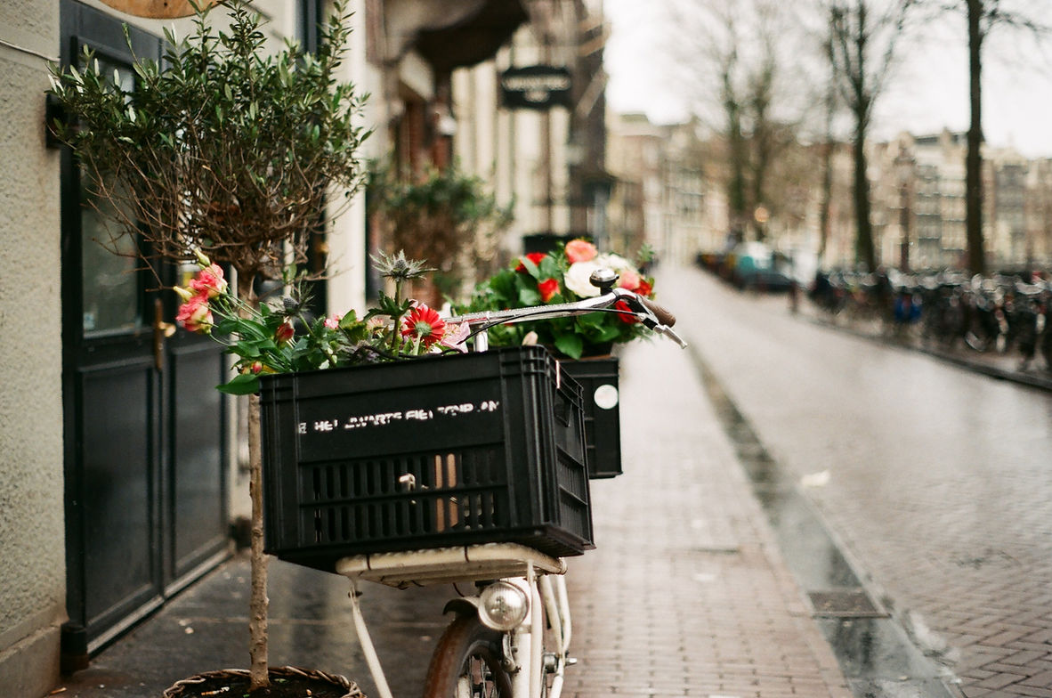 Amsterdam's cycling culture, Amsterdam Netherlands